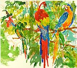 Birds of Paradise